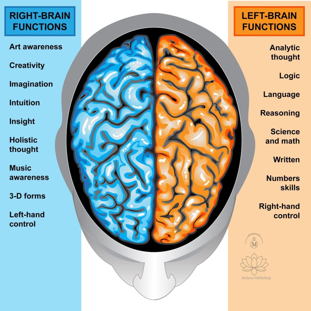 Professional top-down flat lay of a person practicing mental escape art by coloring an intricate heart-shaped lily design in a Medeea Publishing book, surrounded by tea, glasses, and artist pencils on a clean white background.