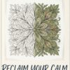 Free Coloring Book